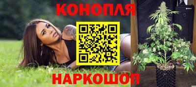 шишки Волжск