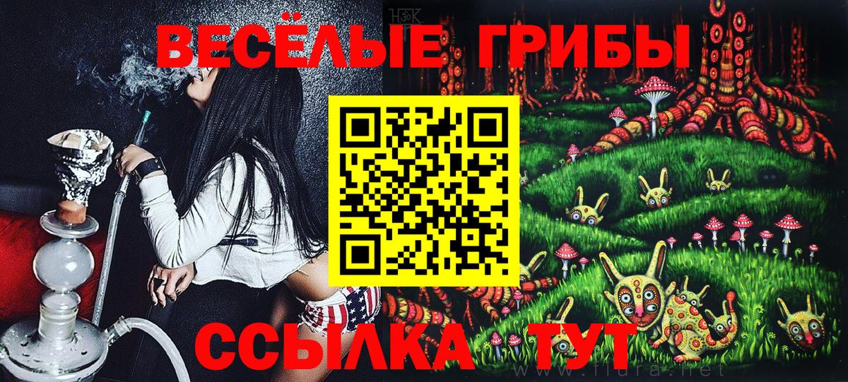 Галлюциногенные грибы GOLDEN TEACHER Дубна