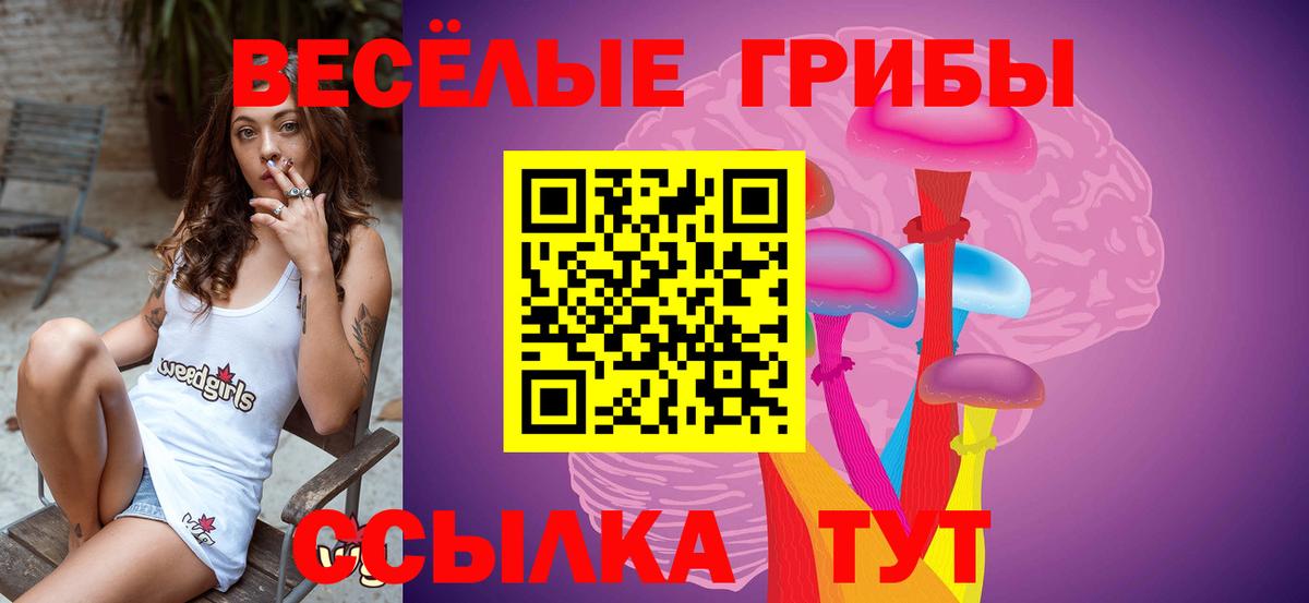 Галлюциногенные грибы прущие грибы  цены наркотик  Дубна  Вход с VPN 